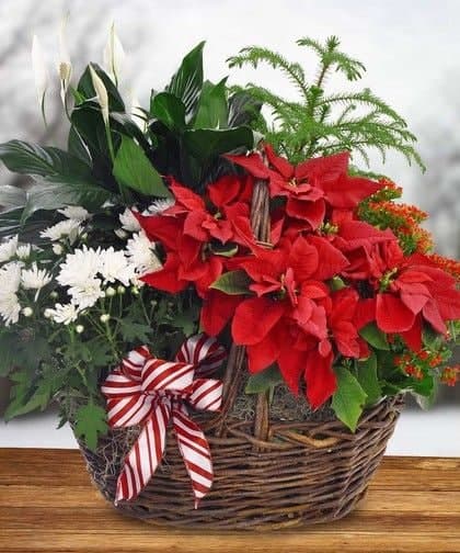 Christmas Garden Basket
