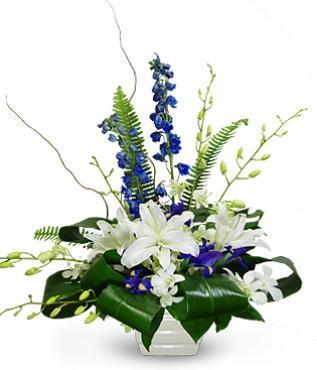 Blue Heaven Arrangement