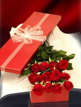 Boxed Premium Roses - 12 Roses